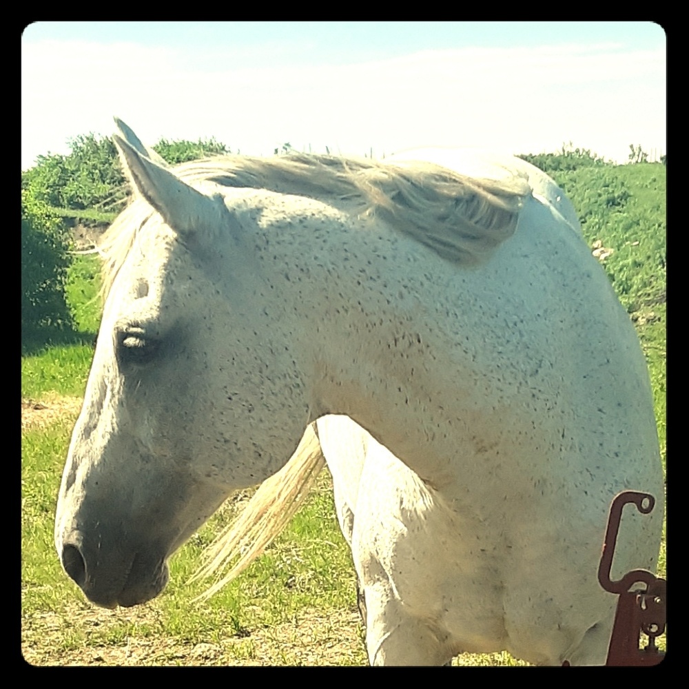 Meet your Posher, Courtney